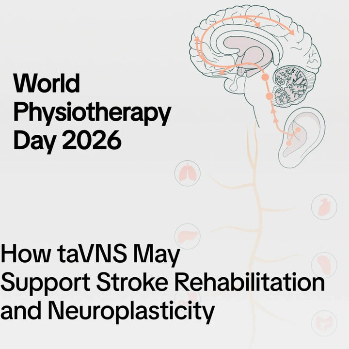 World Physiotherapy Day 2026: How taVNS May Support Stroke Rehabilitation and Neuroplasticity