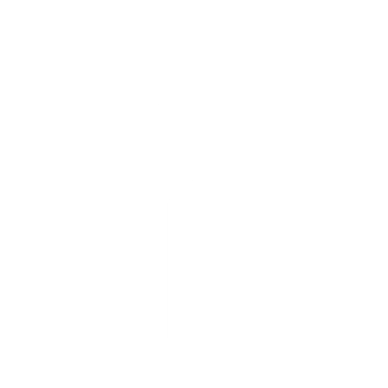 ZenoWell charging cable