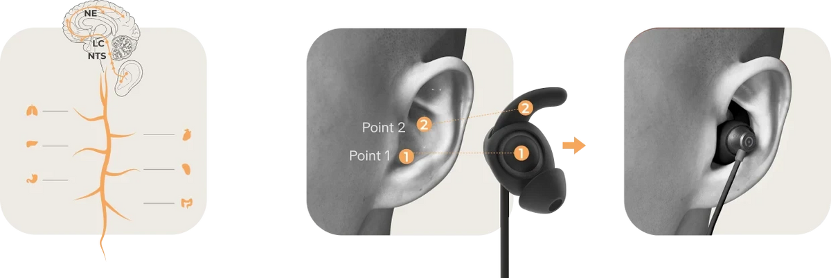 Vita earpiece placement diagram